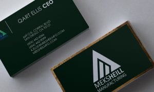 Business-Card-Mockup-01